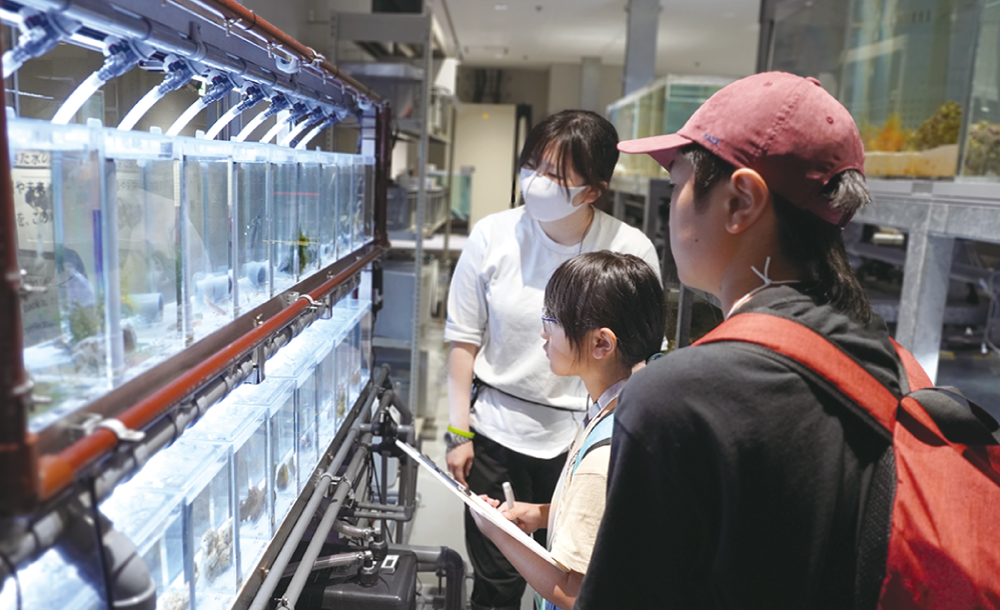 冬の自由研究ツアー