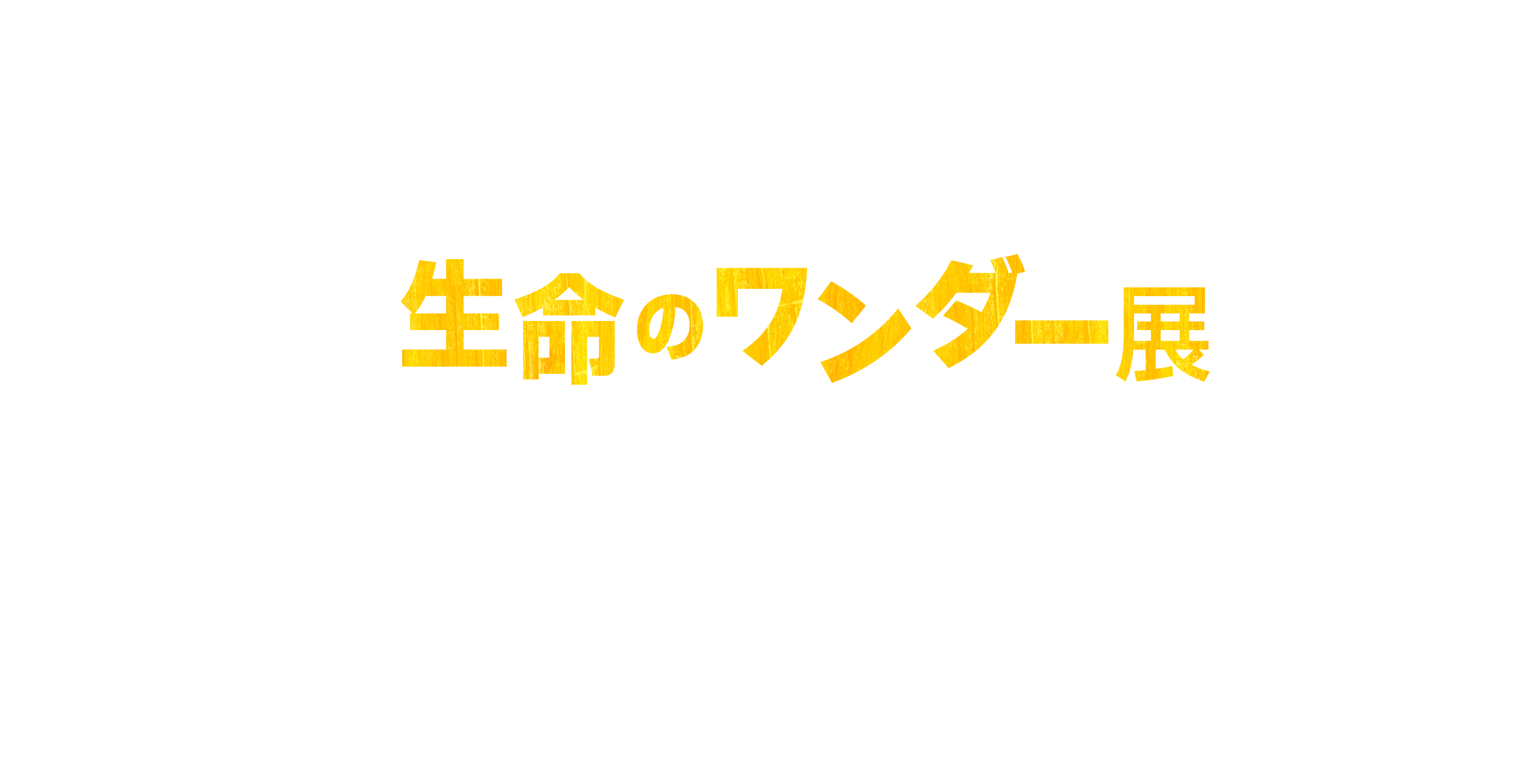 エリック・カールと生命のワンダー展