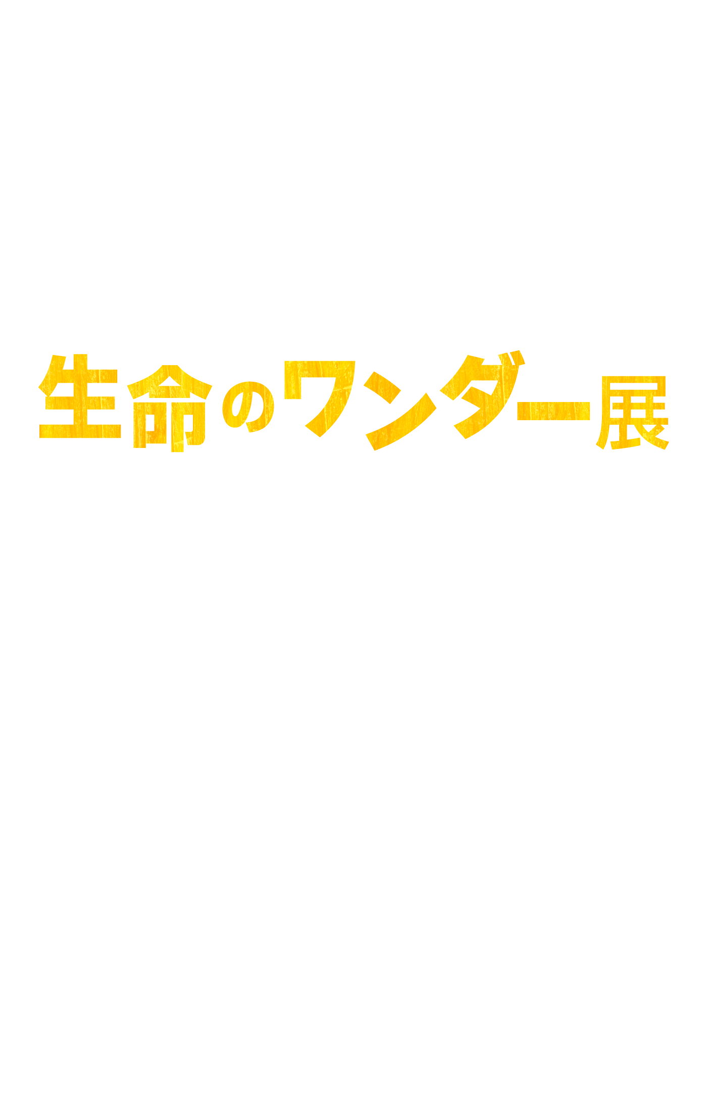 エリック・カールと生命のワンダー展 │ AOAO SAPPORO