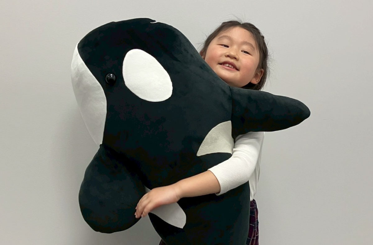 シャチぬいぐるみくじ「HAPPYレプンカムイ」