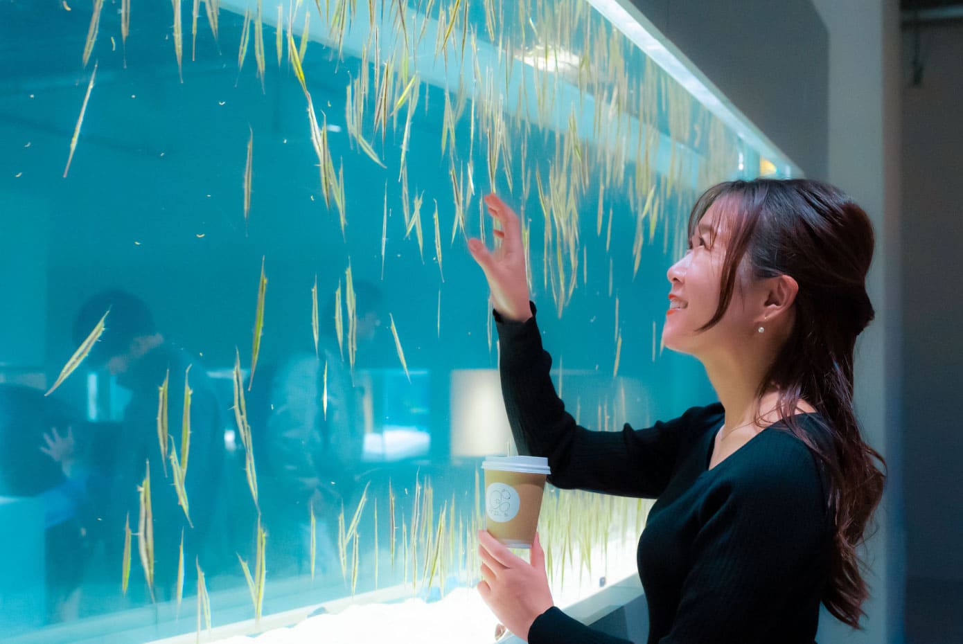 「花咲く（87×39）」キャンペーン