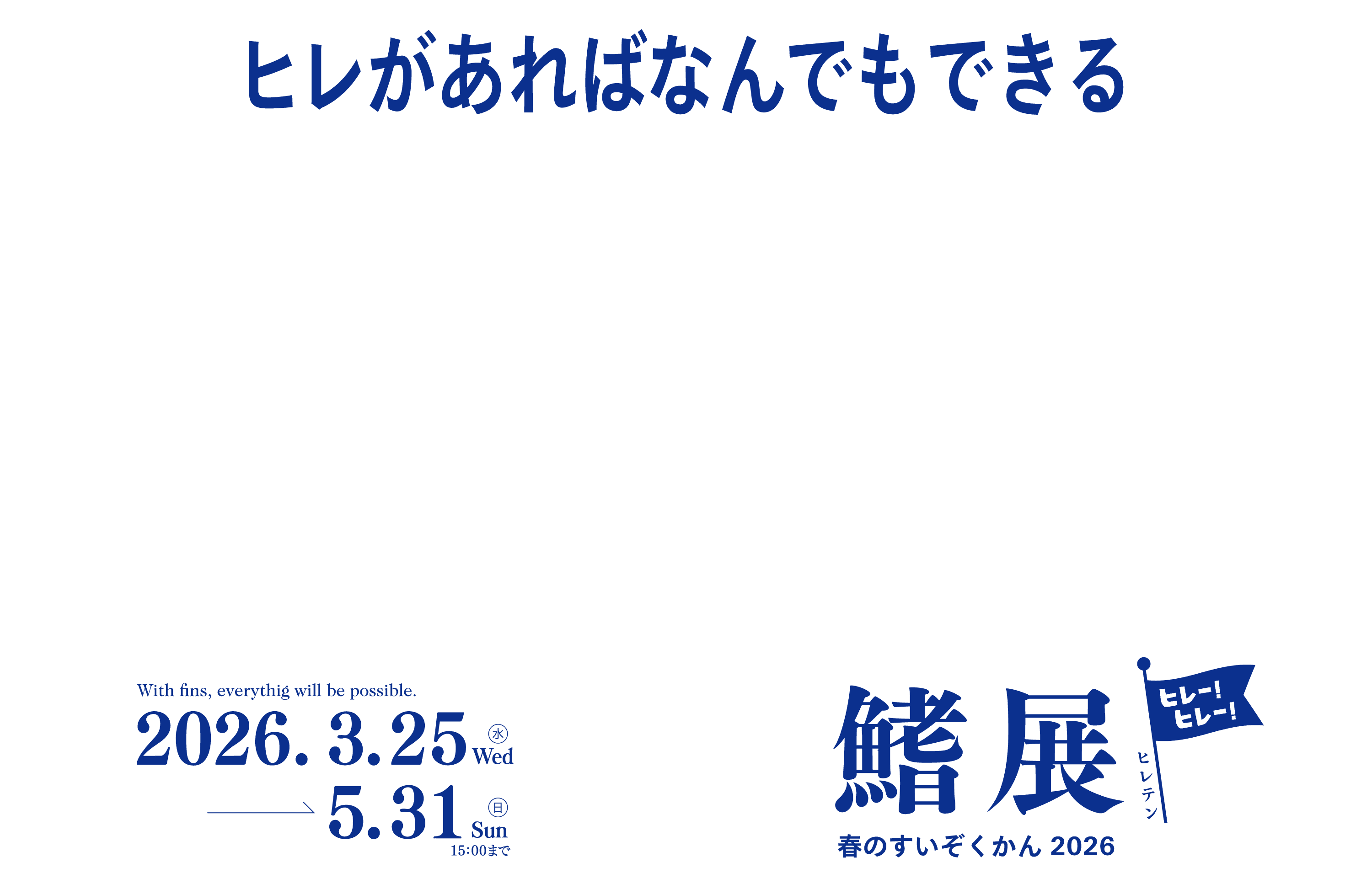 ヒレがあればなんでもできる　2024.0323(土)→5.31(金)