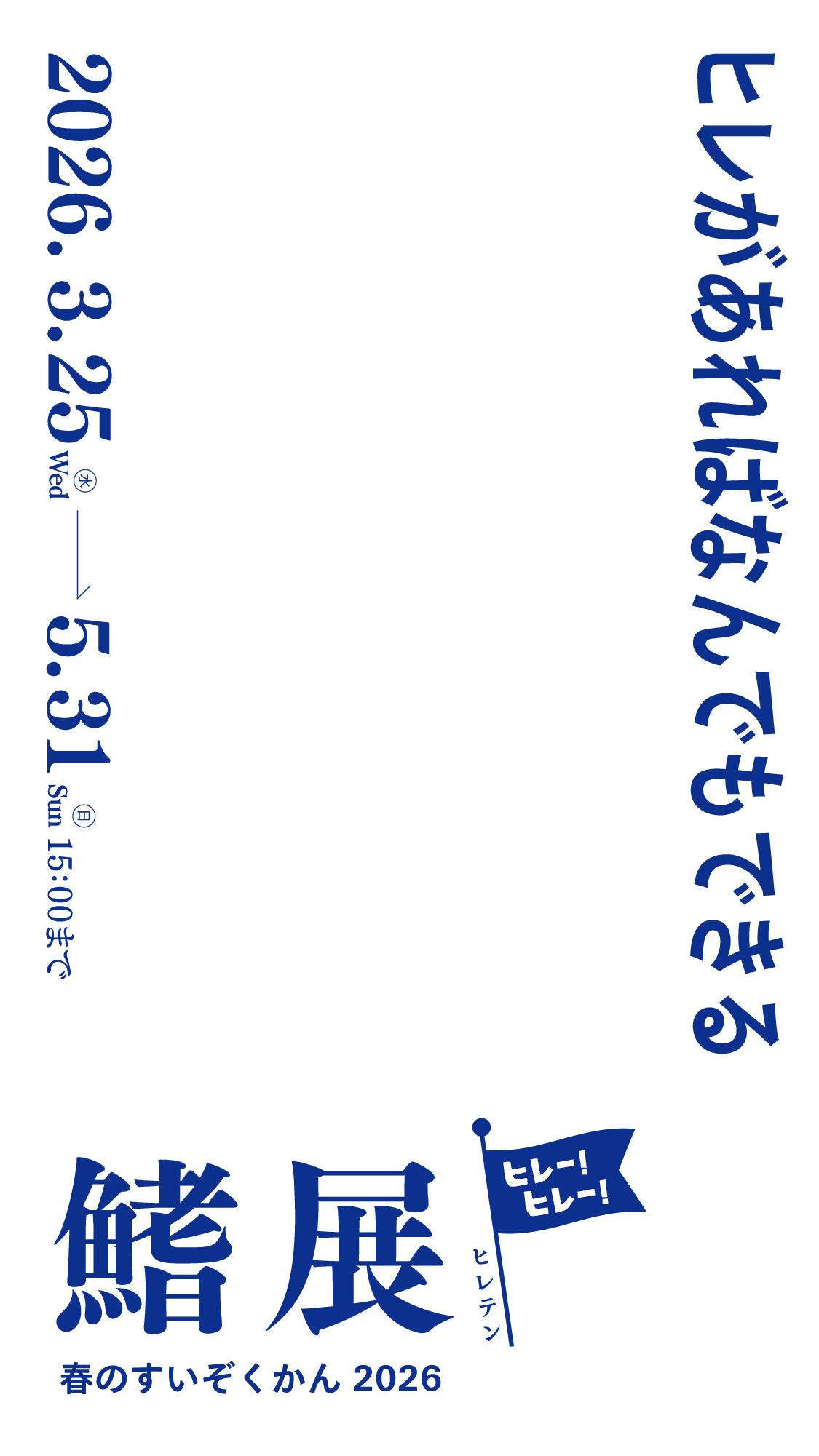 ヒレがあればなんでもできる　2024.0323(土)→5.31(金)