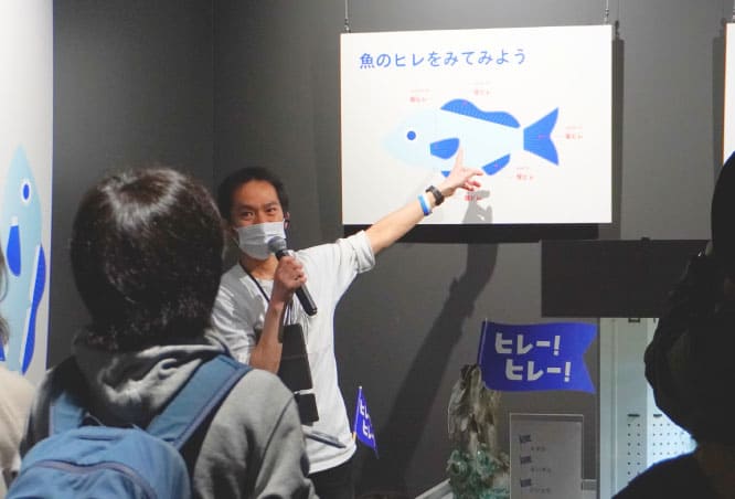 「ヒレー！ヒレー！ツアー」