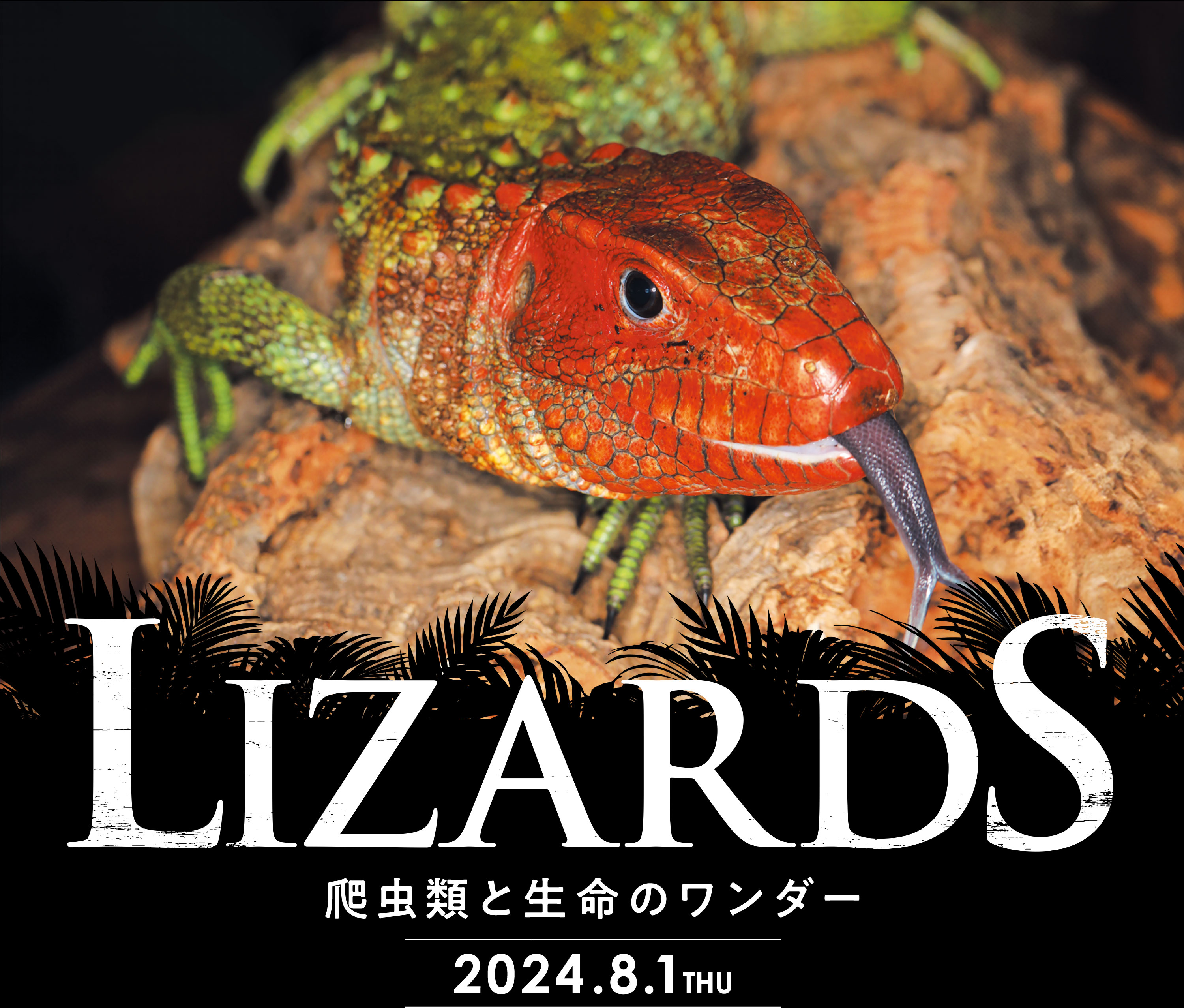 LIZARDS 爬虫類と生命のワンダー 2024.8.1 THU