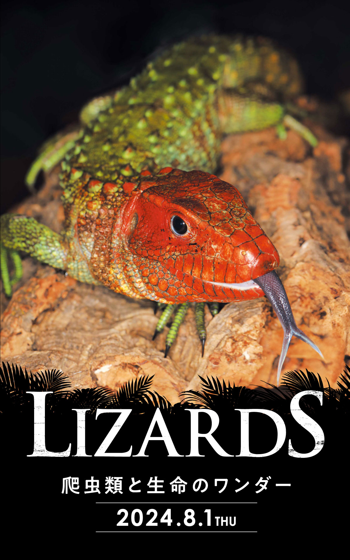 LIZARDS 爬虫類と生命のワンダー 2024.8.1 THU