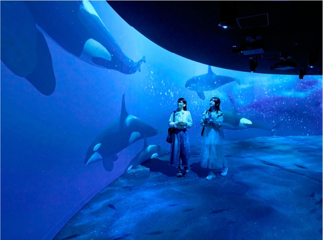 ビールとシメパフェと水族館 SAPPORO NIGHT AQUARIUM │ AOAO SAPPORO